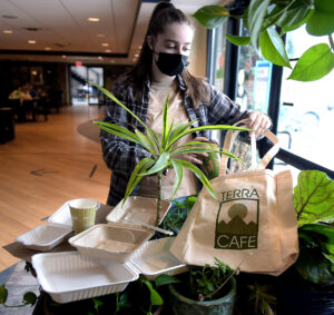 Local biz does its part to go green